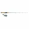 Fenwick HMG & Pflueger Trion Ice Combo