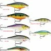 Rapala Scatter Rap Shad #7
