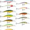 Rapala Scatter Rap Tail Dancer SCRTD09 1 Rapala Scatter Rap Tail Dancer SCRTD09 -13 Fishing Sales scatter rap tail dancer family