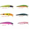 Bay Rat Lures Short Shallow 1 Bay Rat Lures Short Shallow -13 Fishing Sales short shallow family